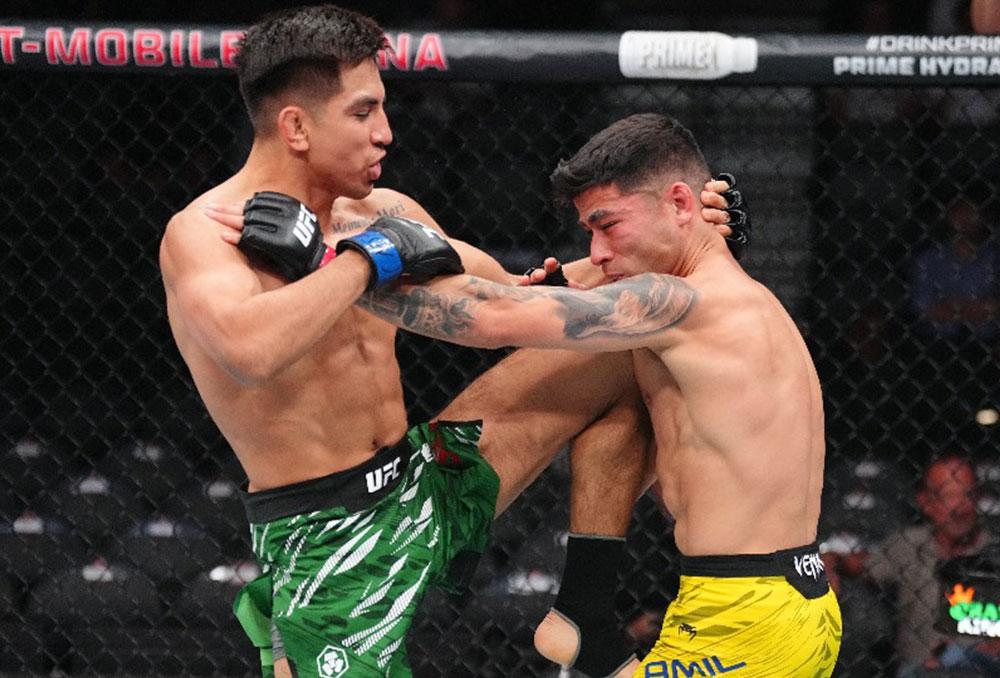 José Miguel Delgado terrasse Hyder Amil en 26 secondes et poursuit son ascension fulgurante à l’UFC 317 | Las Vegas