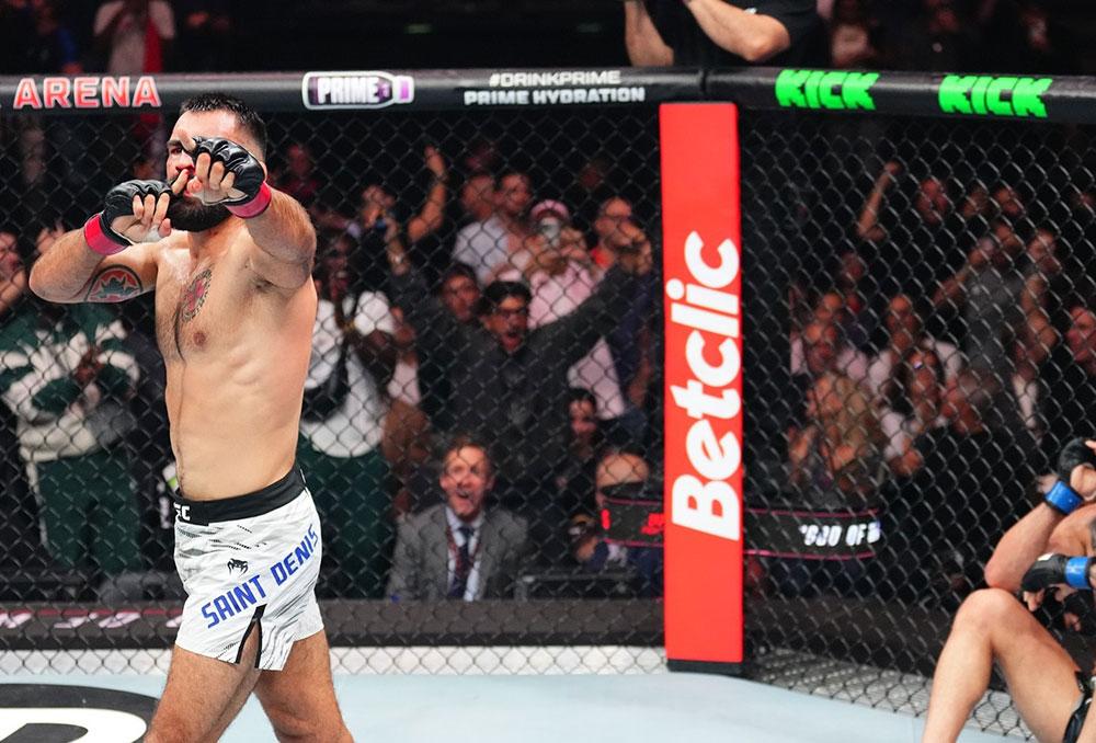 Les combattants français à l’UFC : entre gloire, fierté et nouvelles ambitions
