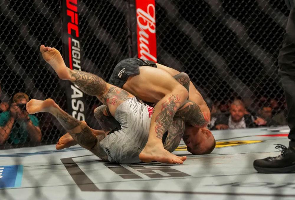 L’Esprit du Combattant : Comment la Stratégie en MMA Inspire la Réussite et la Discipline