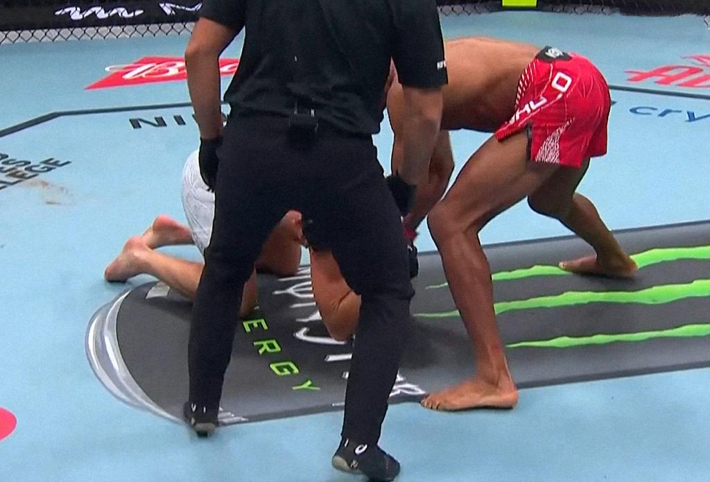 UFC Fight Night 291 : Mandel Nallo s'impose par TKO face à Nate Landwehr au deuxième round