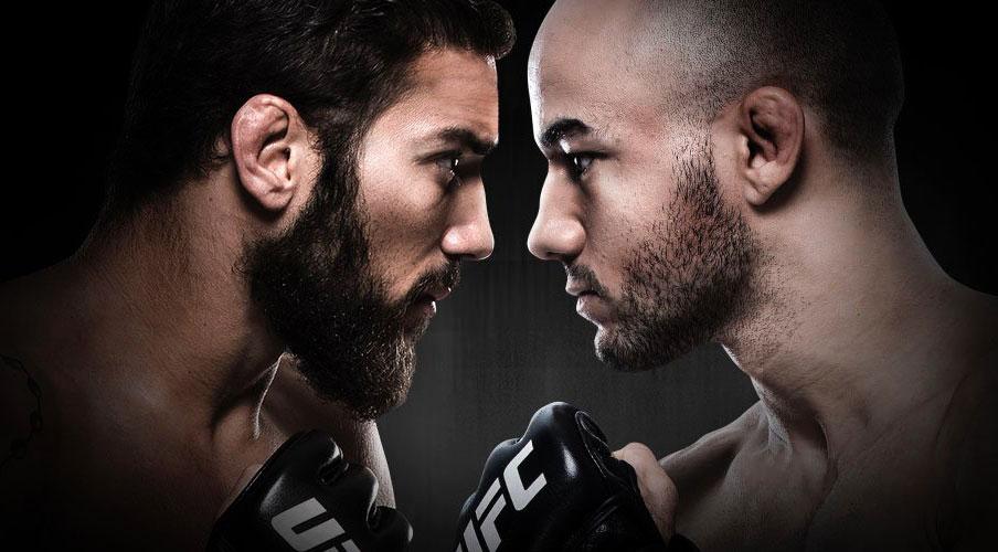 UFC Fight Night 131 - Les posters et les affiches