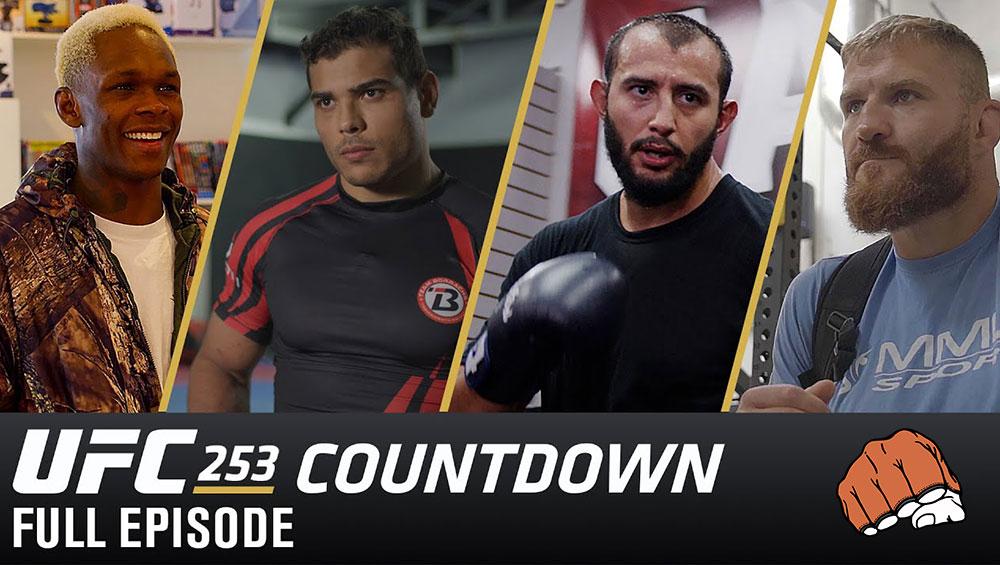 Countdown to UFC 253 en VOSTFR