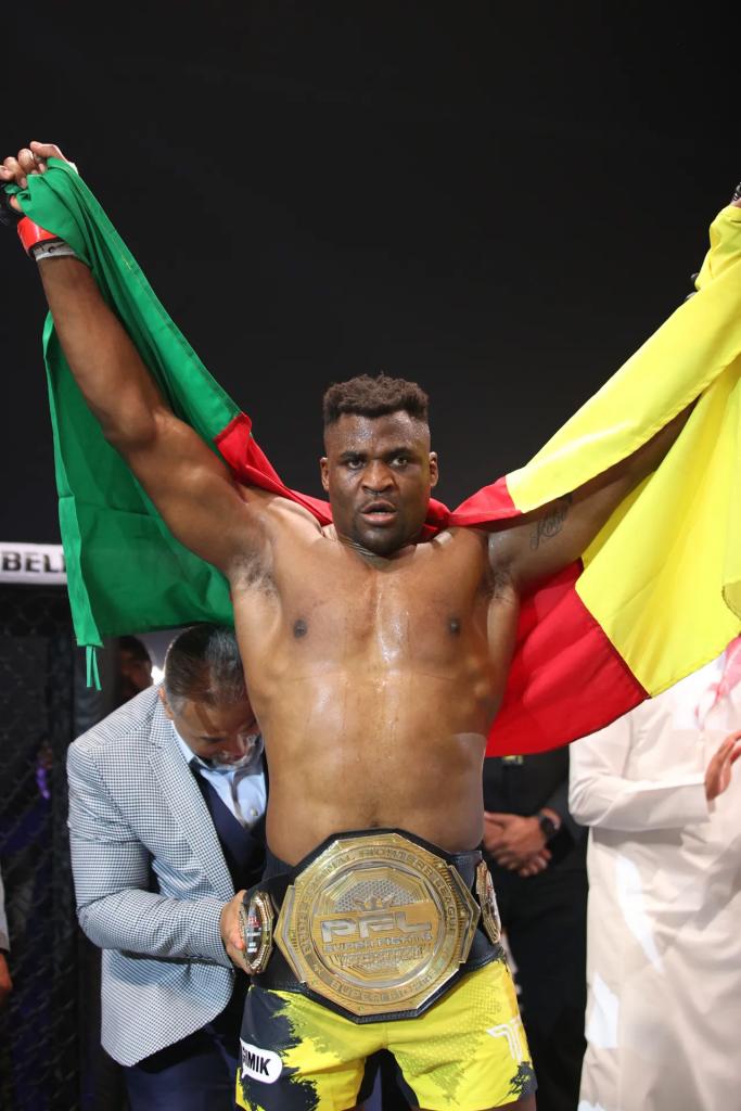 PFL Super Fights - Francis Ngannou détruit Renan Ferreira par TKO au round 1 | Battle of the Giants