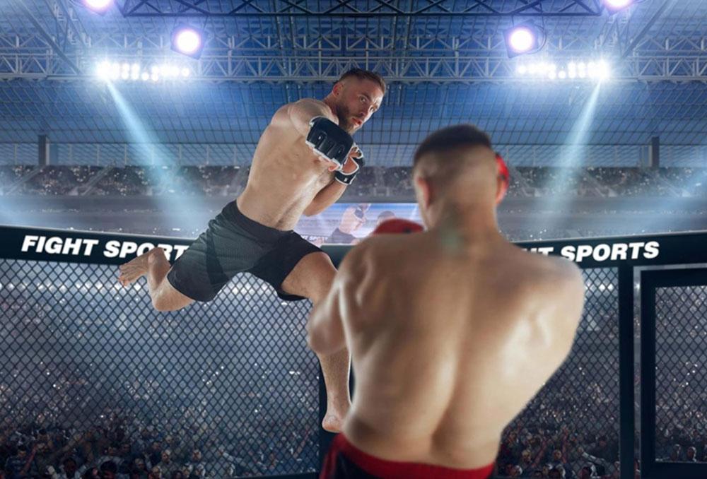 Meilleurs jeux UFC pour les fans