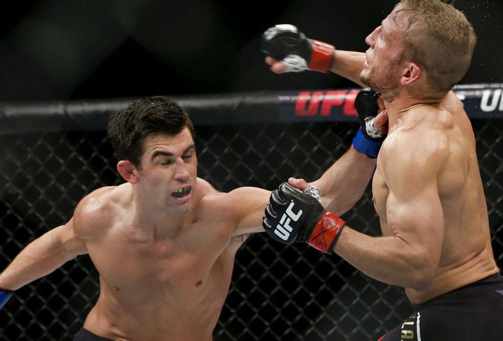 Dominick Cruz, un retour attendu en 2025 pour son ultime affrontement