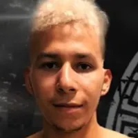 Vinicius Silva Viny Monstro