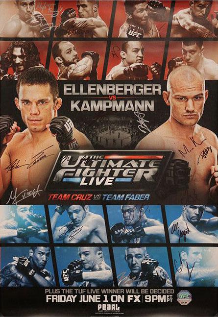 TUF 15 - THE ULTIMATE FIGHTER 15 FINALE