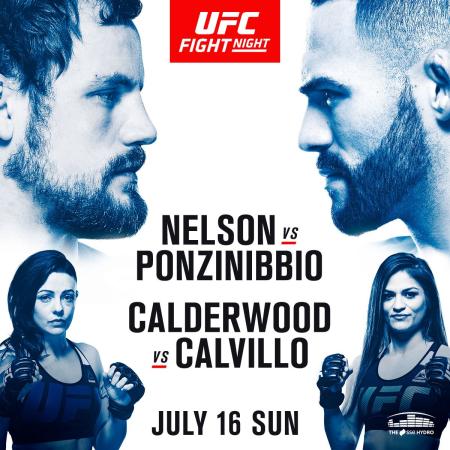 UFC FIGHT NIGHT 113 - NELSON VS. PONZINIBBIO