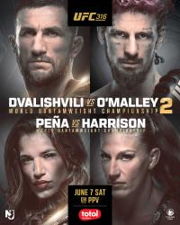 UFC 316 - DVALISHVILI VS. O'MALLEY 2