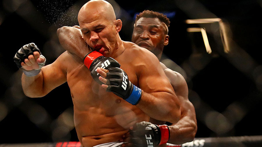 Francis Ngannou contre Junior Dos santos