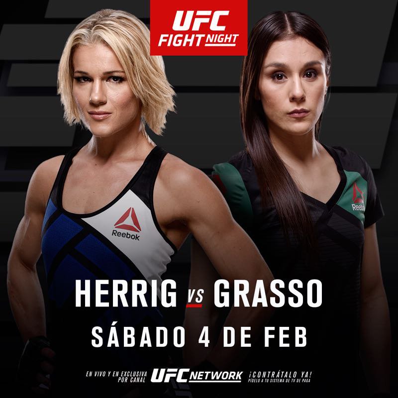 Poster/affiche UFC Fight Night 104 - Houston