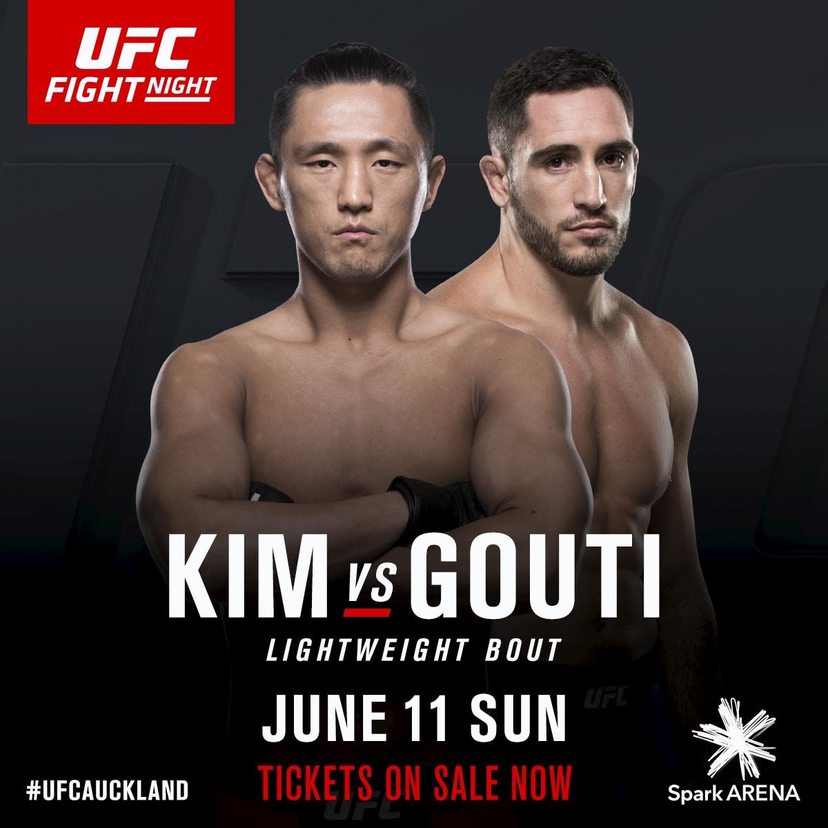 Poster/affiche UFC Fight Night 110- Auckland