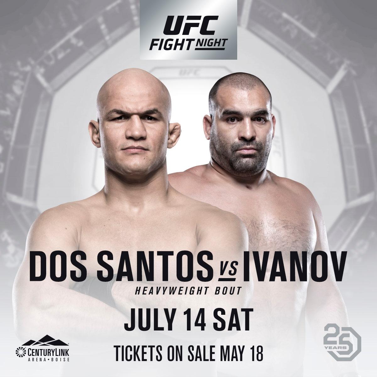 Poster/affiche UFC Boise