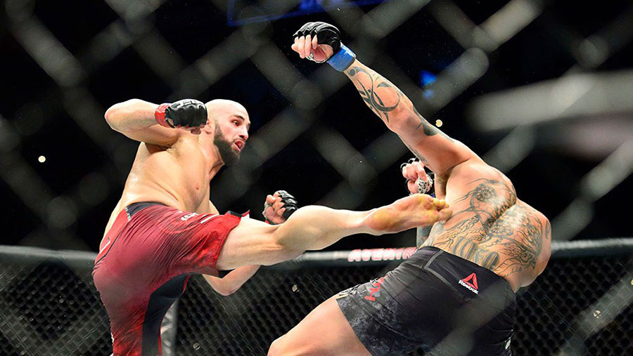 UFC Fight Night 138 - Volkan Oezdemir contre Anthony Smith