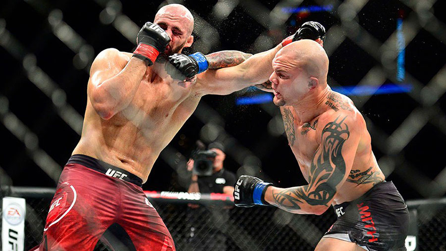 UFC Fight Night 138 - Volkan Oezdemir contre Anthony Smith