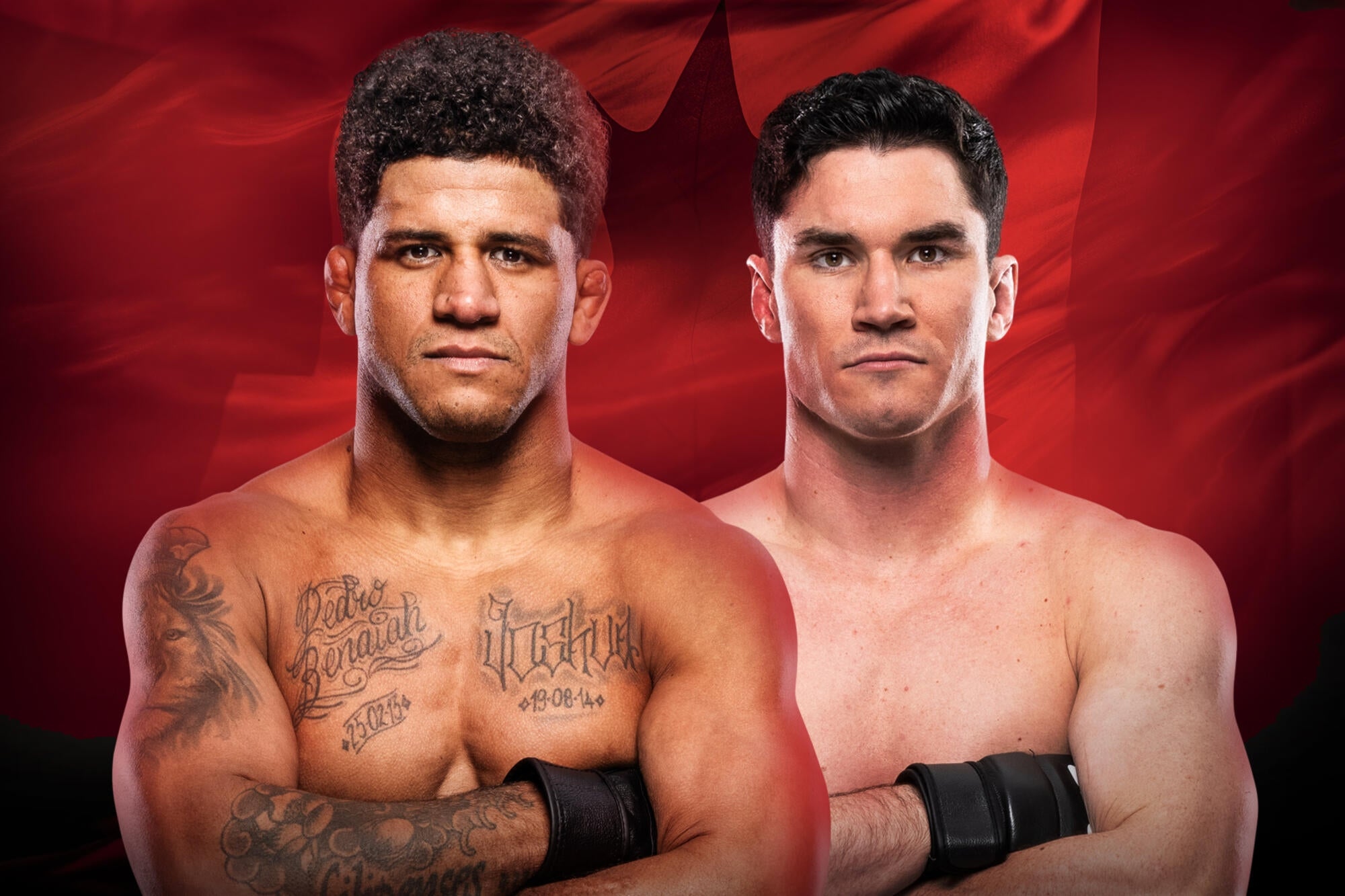 UFC Fight Night 273 - Winnipeg - Poster et affiche