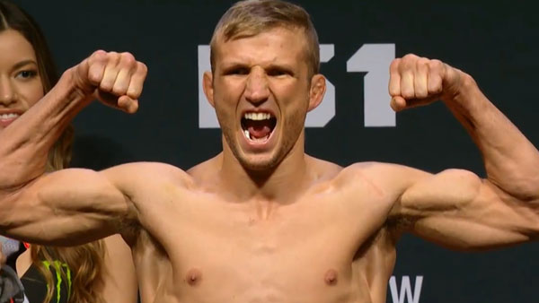 T.J. Dillashaw contre Dominick Cruz