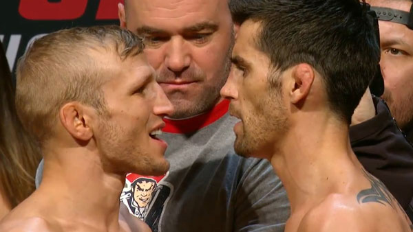 T.J. Dillashaw contre Dominick Cruz