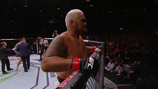 Mark Hunt contre Frank Mir