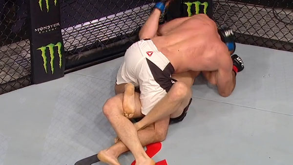 Jan Blachowicz contre Igor Pokrajac