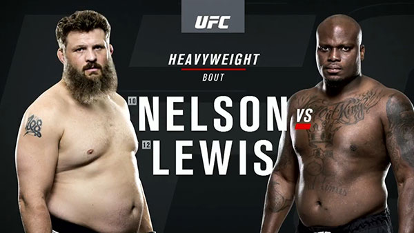 Roy Nelson contre Derrick Lewis