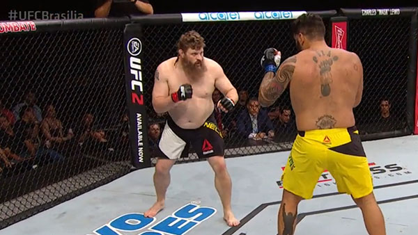 Roy Nelson contre Antonio Silva