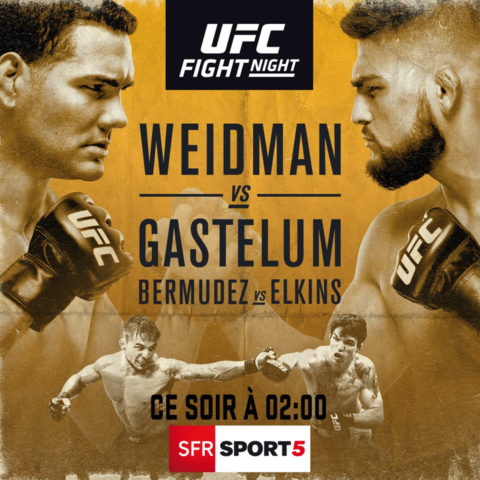 Poster/affiche UFC on Fox 25 - Long Island