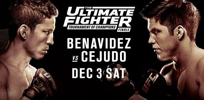 Poster/affiche TUF 24 Finale