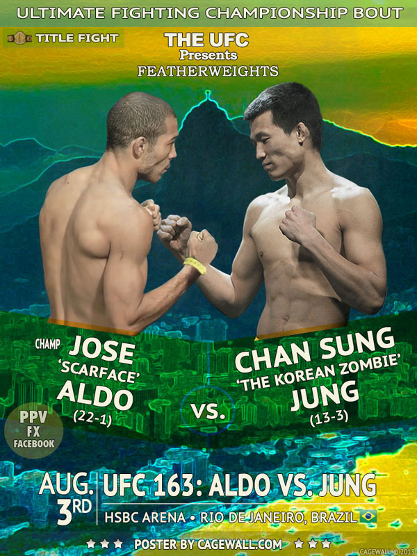 Poster/affiche UFC 163