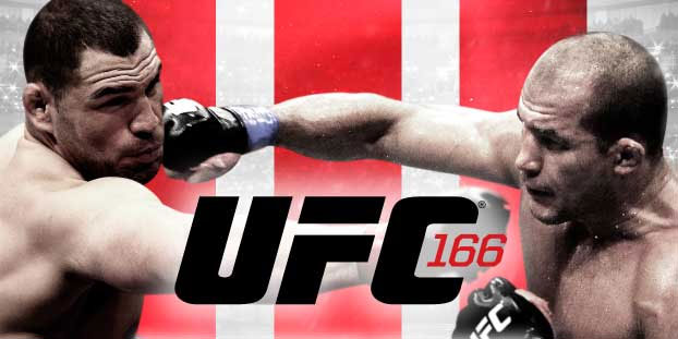 Poster/affiche UFC 166