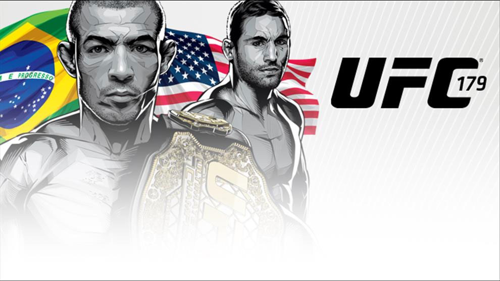 Poster/affiche UFC 179