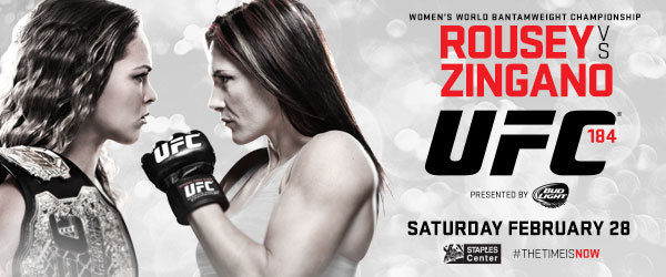 Poster/affiche UFC 184