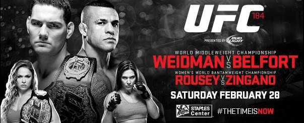 Poster/affiche UFC 184