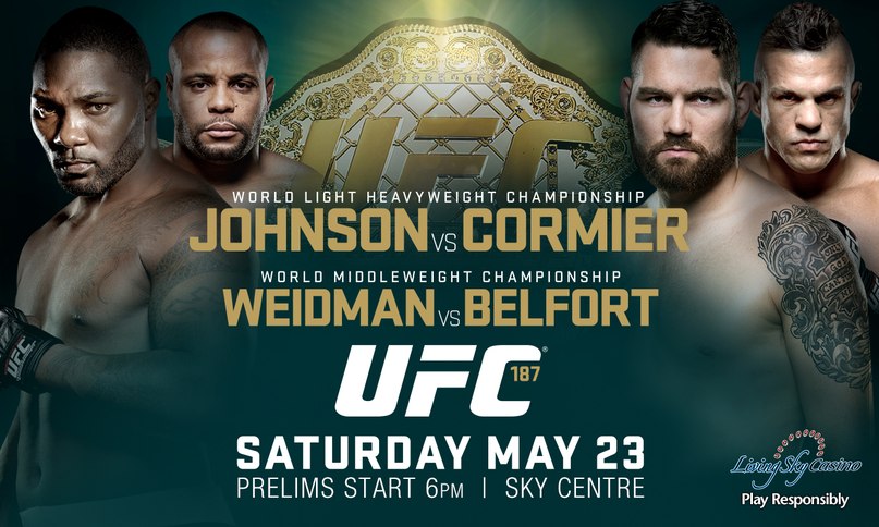 Poster/affiche UFC 187