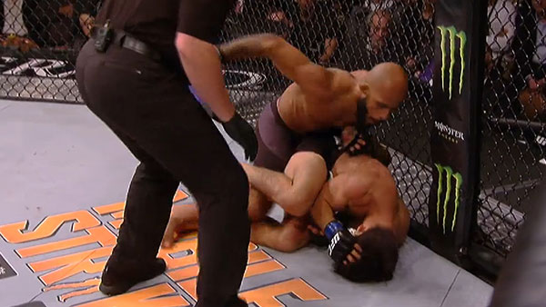 Demetrious Johnson contre Henry Cejudo