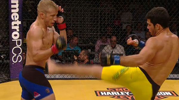 T.J. Dillashaw contre Raphael Assuncao