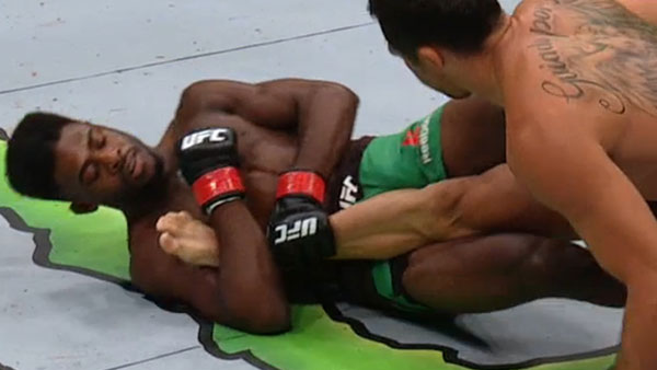 Aljamain Sterling contre Renan Barao