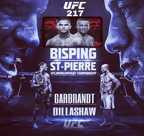 Poster/affiche UFC 217 - New York