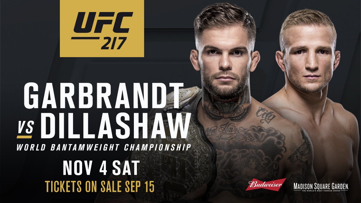 Poster/affiche UFC 217 - New York