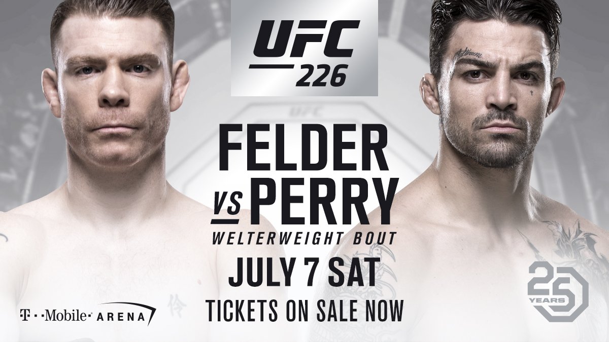 Poster/affiche UFC 226