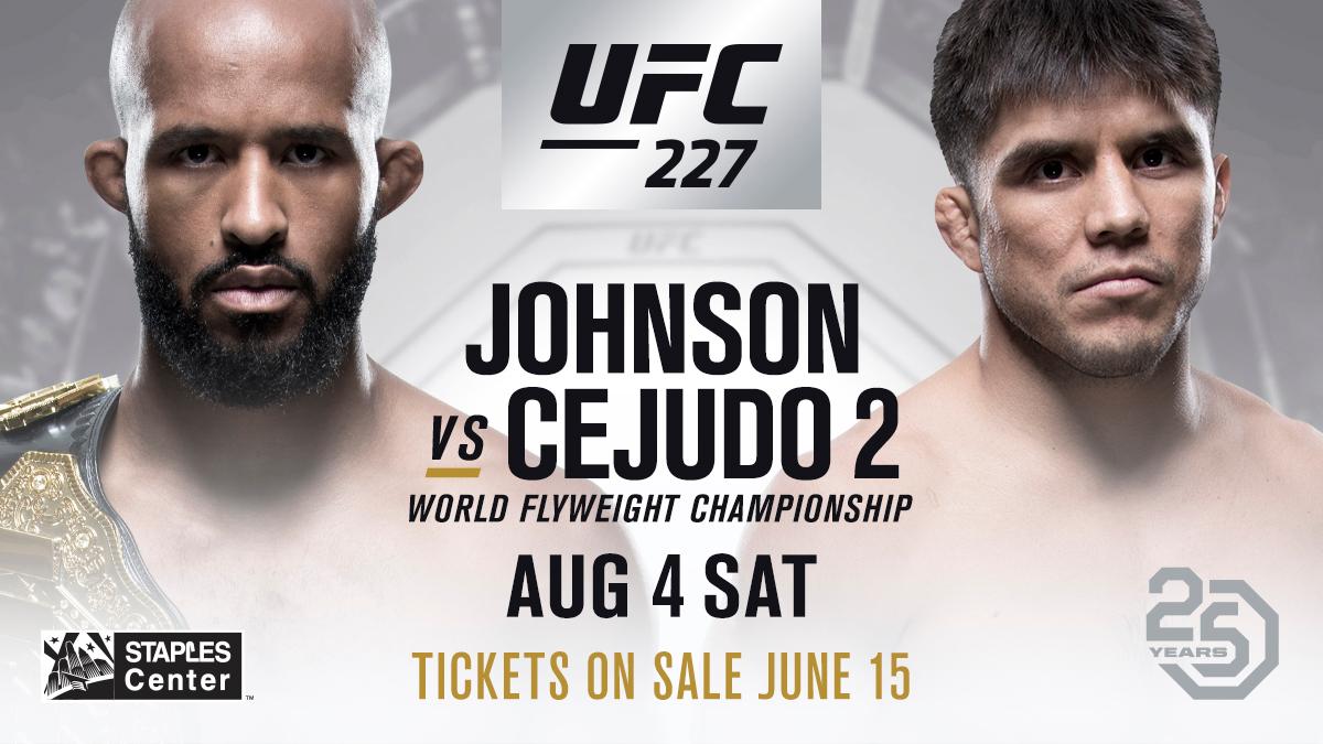 Poster/affiche UFC 227