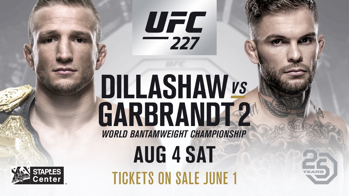 Poster/affiche UFC 227