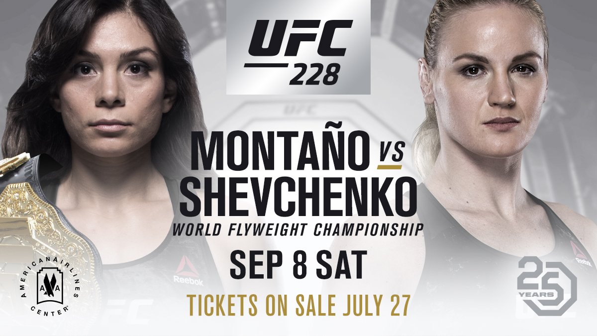 Poster/affiche UFC 228