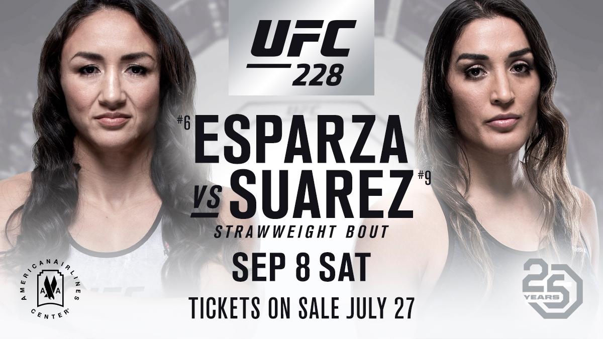 Poster/affiche UFC 228