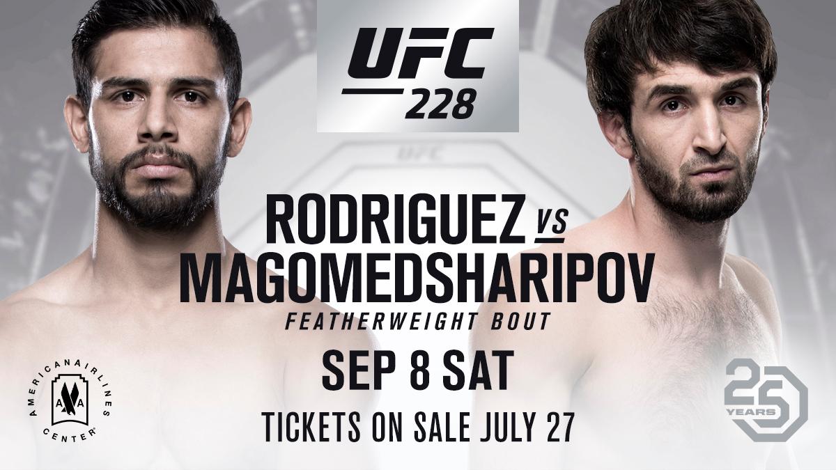 Poster/affiche UFC 228