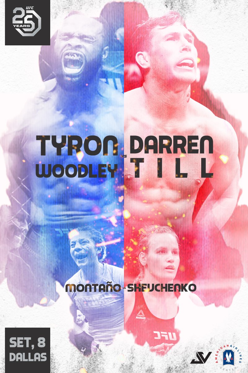 Poster/affiche UFC 228