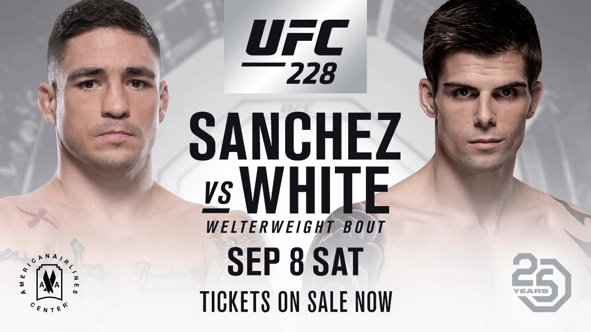 Poster/affiche UFC 228