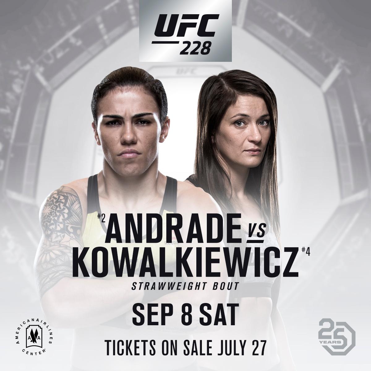 Poster/affiche UFC 228