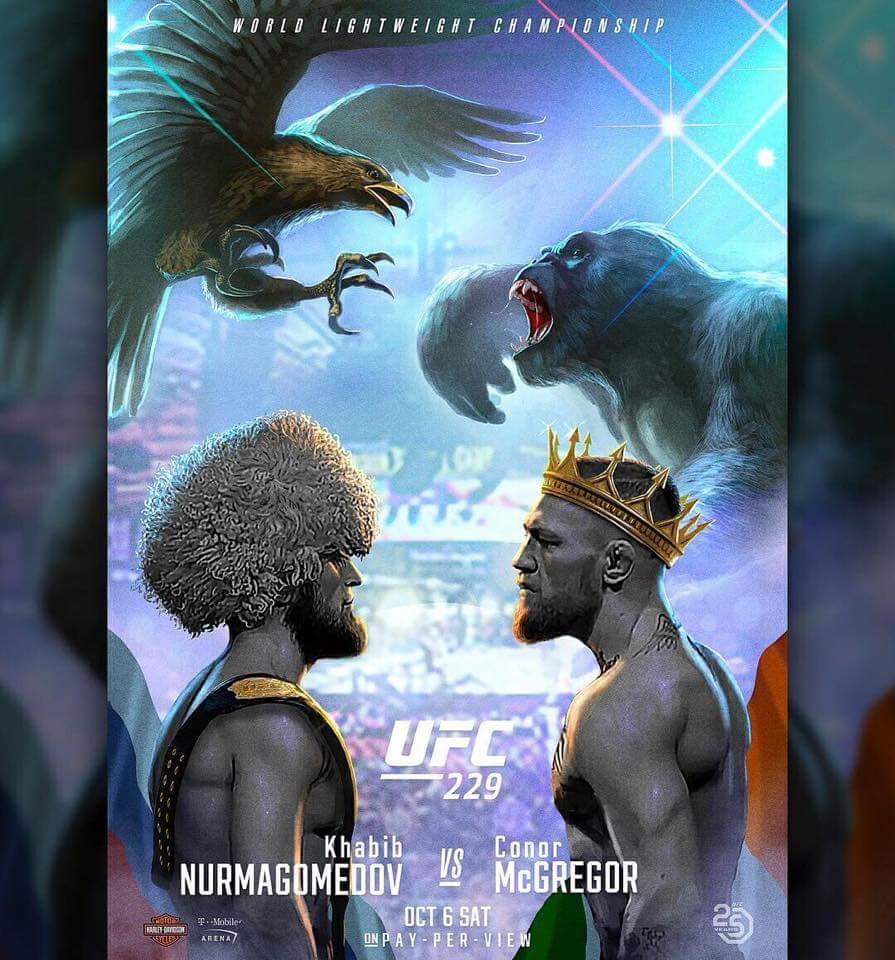 Poster des fans UFC 229