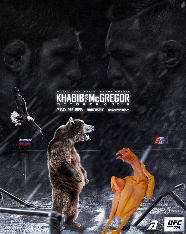 Poster des fans UFC 229